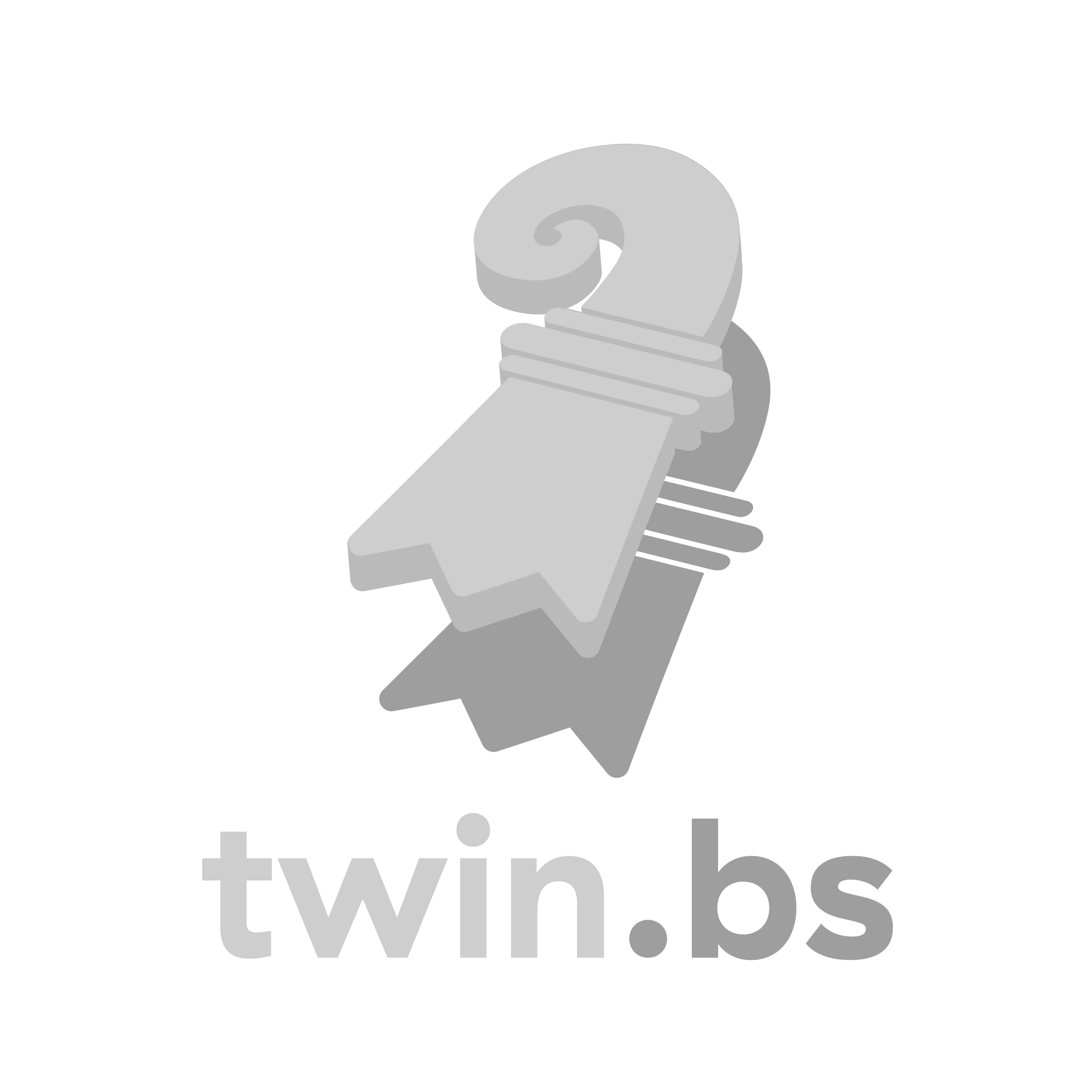 Logo twin.bs