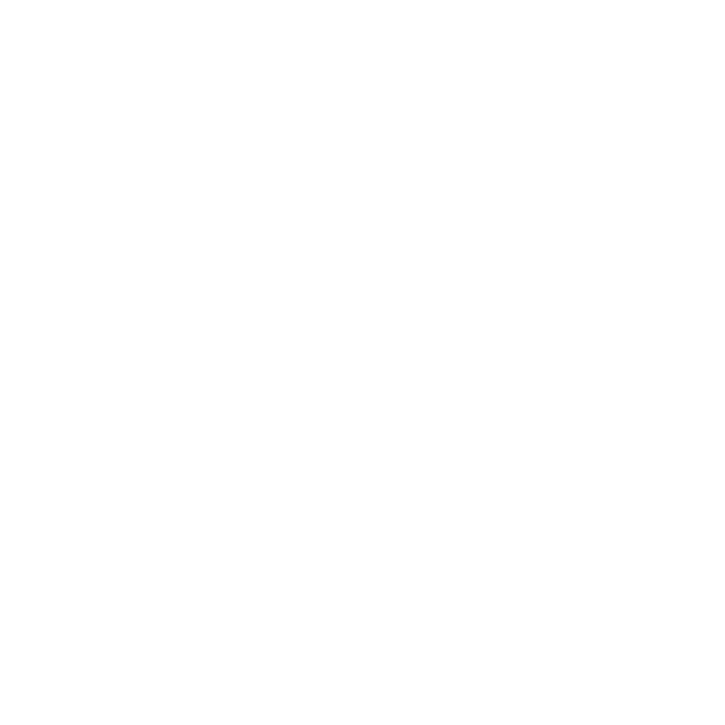 waisehuus_logo_3