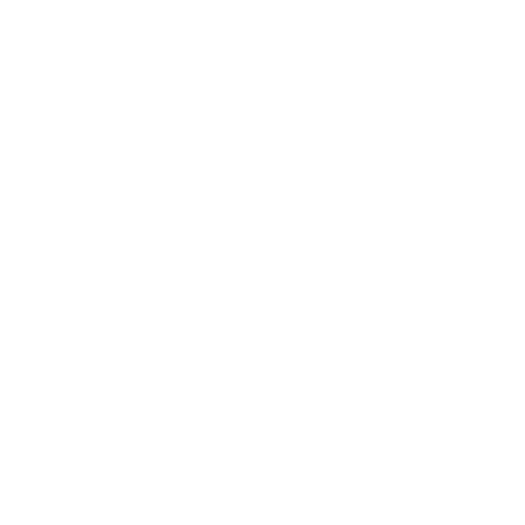 waisehuus_logo_5