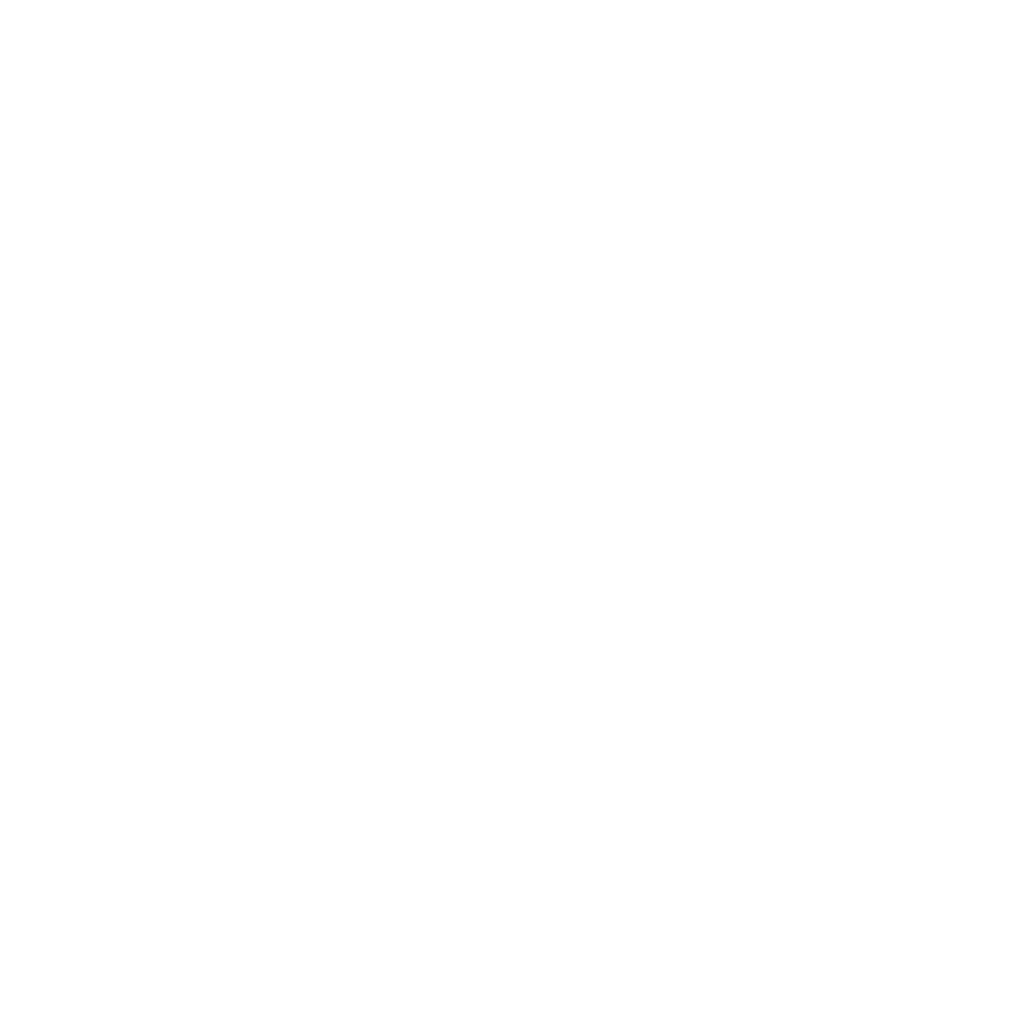 waisehuus_logo_7